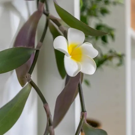 Stylish & Private Garden - 15 Min From La Defense - 25 M From Paris Apartamento *